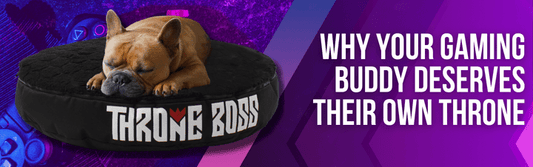 Why Your Gaming Buddy Deserves Their Own Throne: The Ultimate Gaming Pet Bed - Throne Boss Australia
